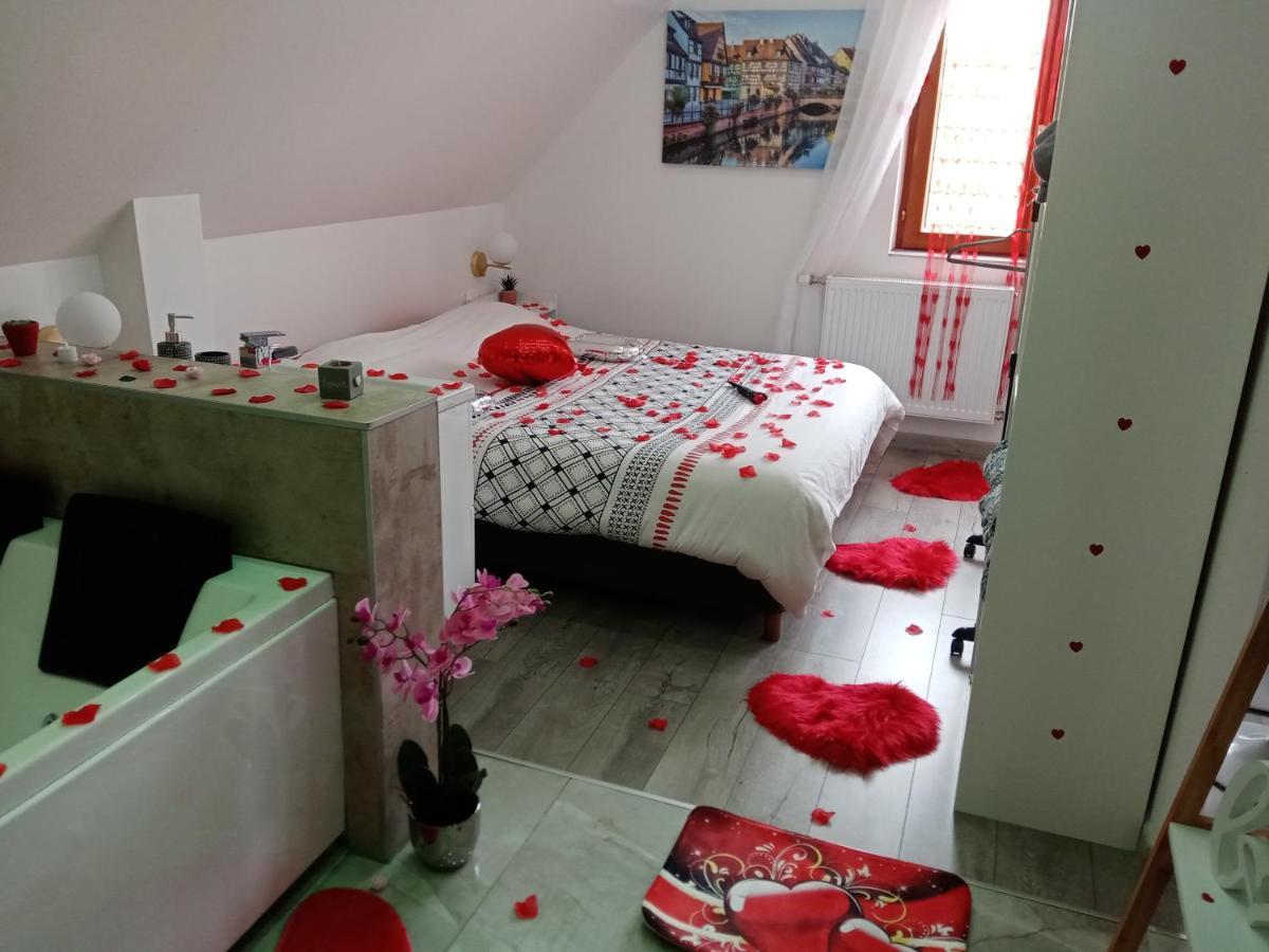 Appartamento Jacuzzi Au Centre Colmar