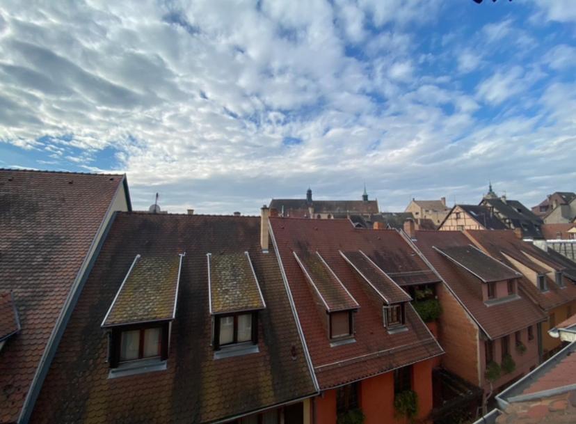 Appartement L'ours De - En Centre Colmar