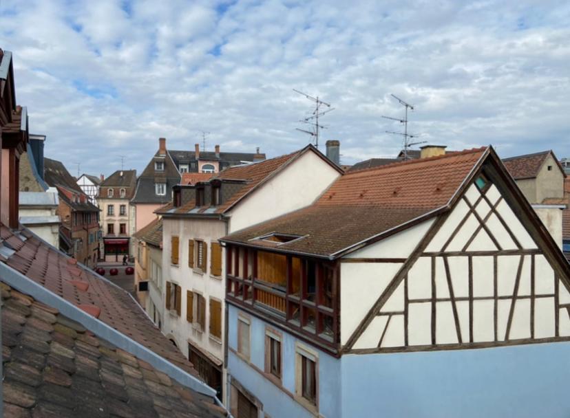 Appartamento L'ours De - En Centre Colmar