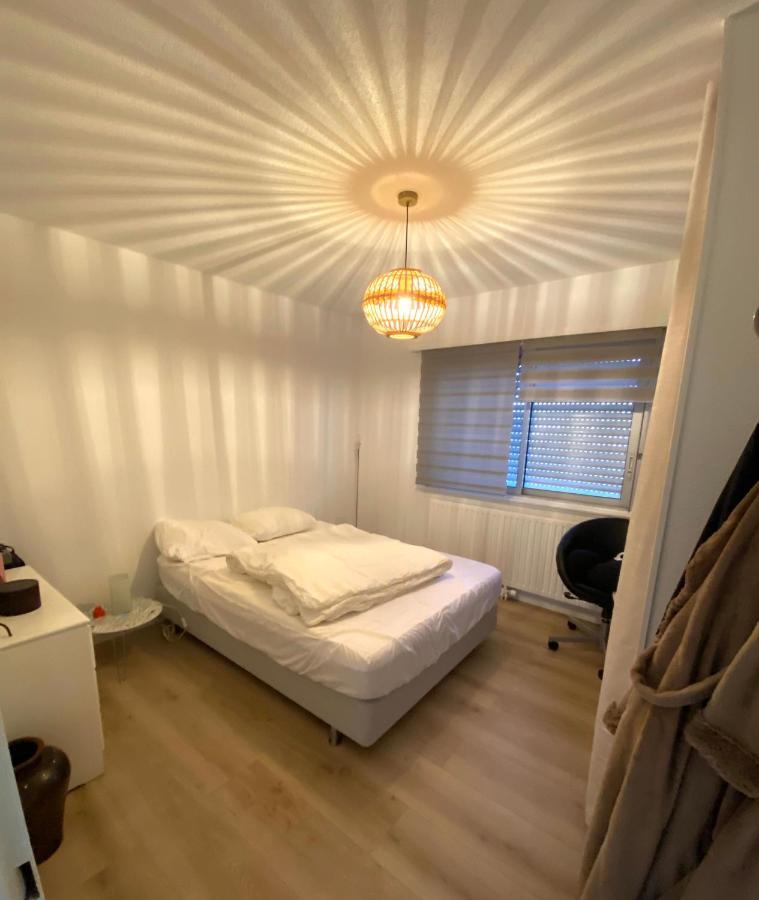 Bel T3 Centre Ville Appartement