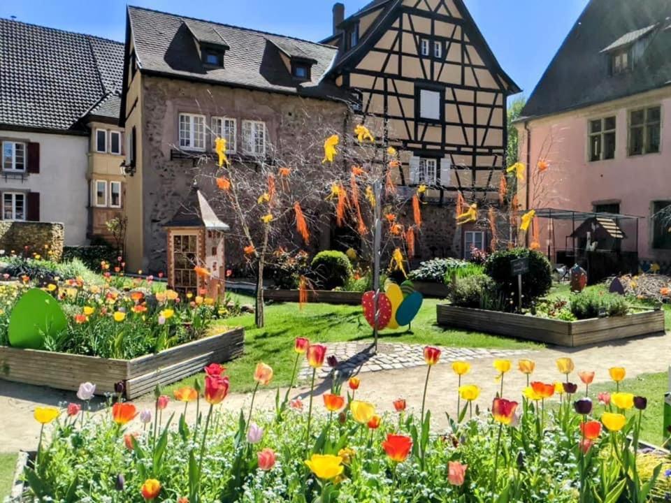 Appartement Les Lavandieres Colmar