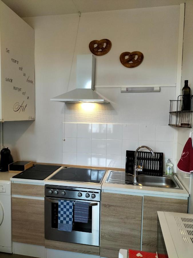 Coeur D'elsass Rappappartement Avec Parking Colmar