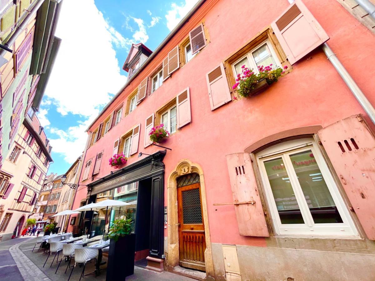 Appartement Le Schongauer Colmar