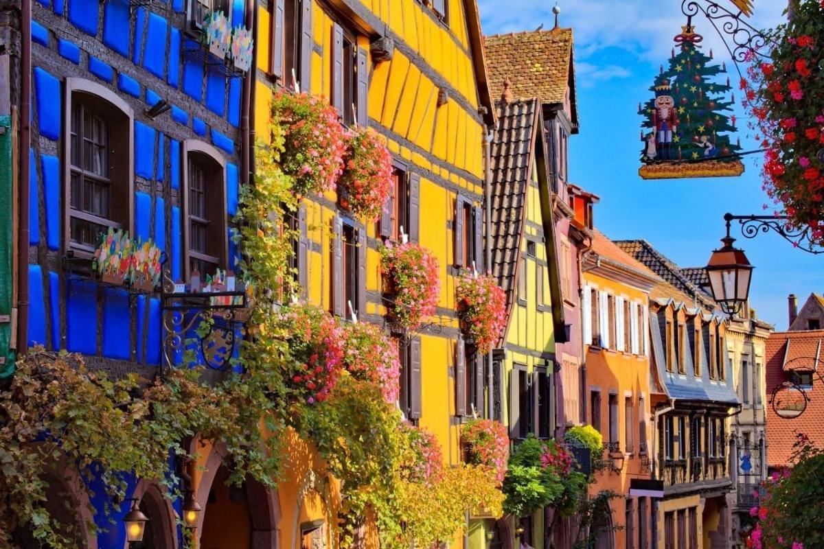 Appartement Les Lavandieres Colmar