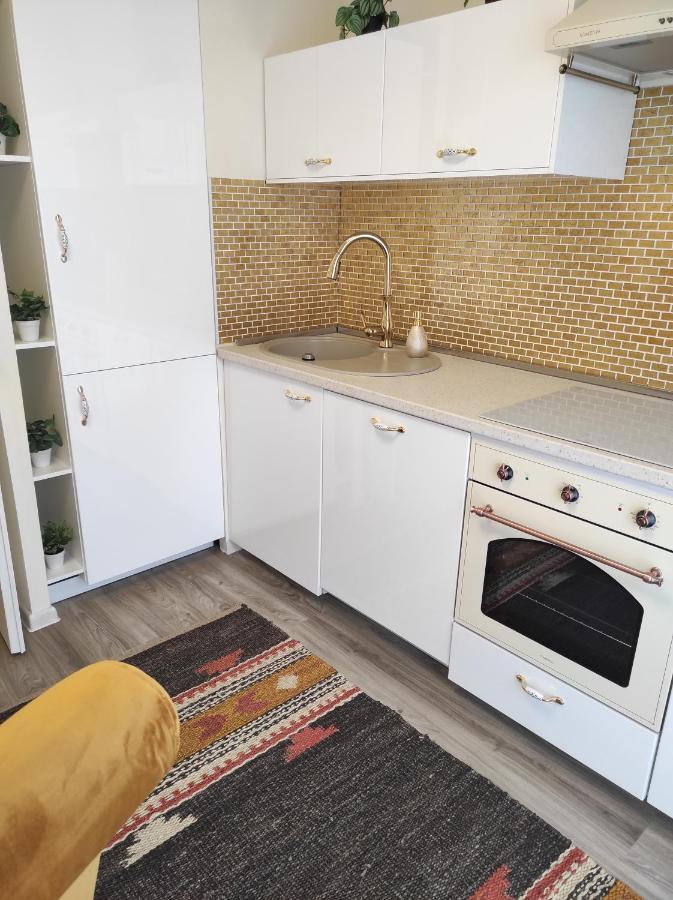 Appartement F3 Design Colmar+parking Free Colmar