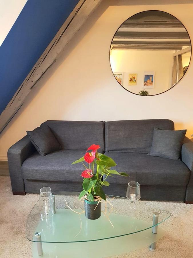New ! Vue Petite Venise-place To Be - Parking Appartement Colmar