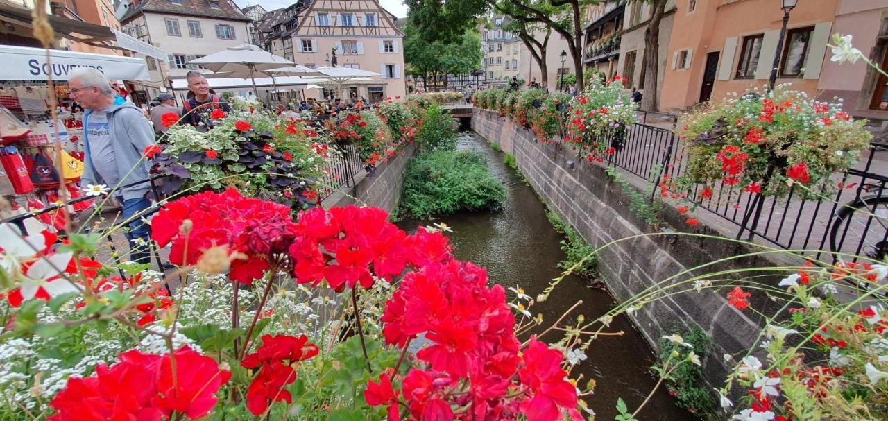 Le Red St Léon : Lit Queen Size * Wifi * Idéal Couple Appartement Colmar