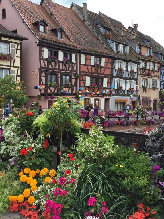 Les De Petite Venise Colmar