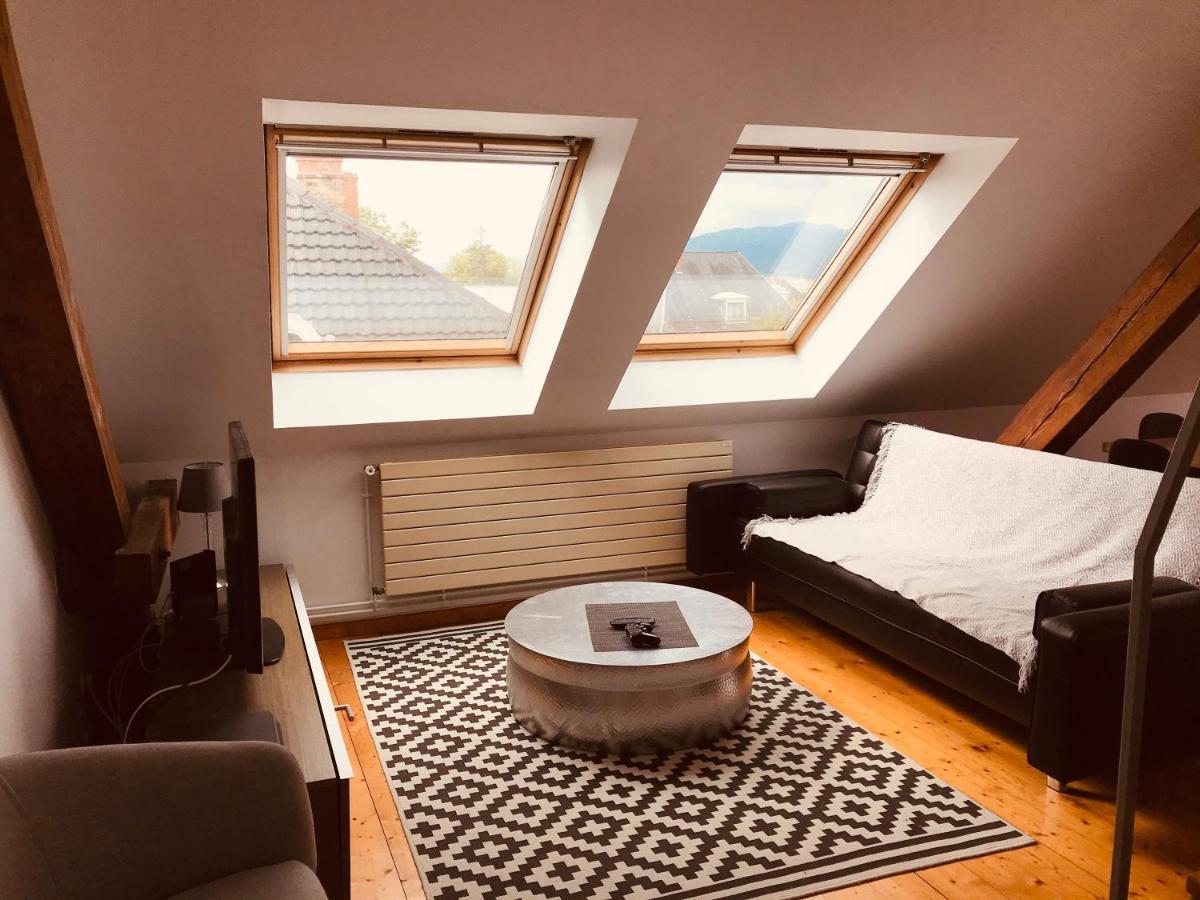 Appartement Le Tomi Colmar