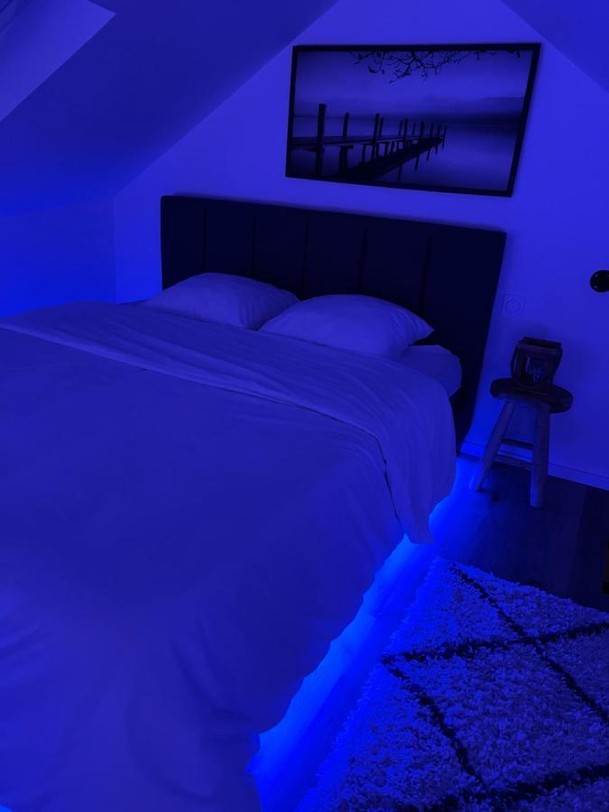 Appartement Loft Ravissant Avec Parking Gratuit Colmar