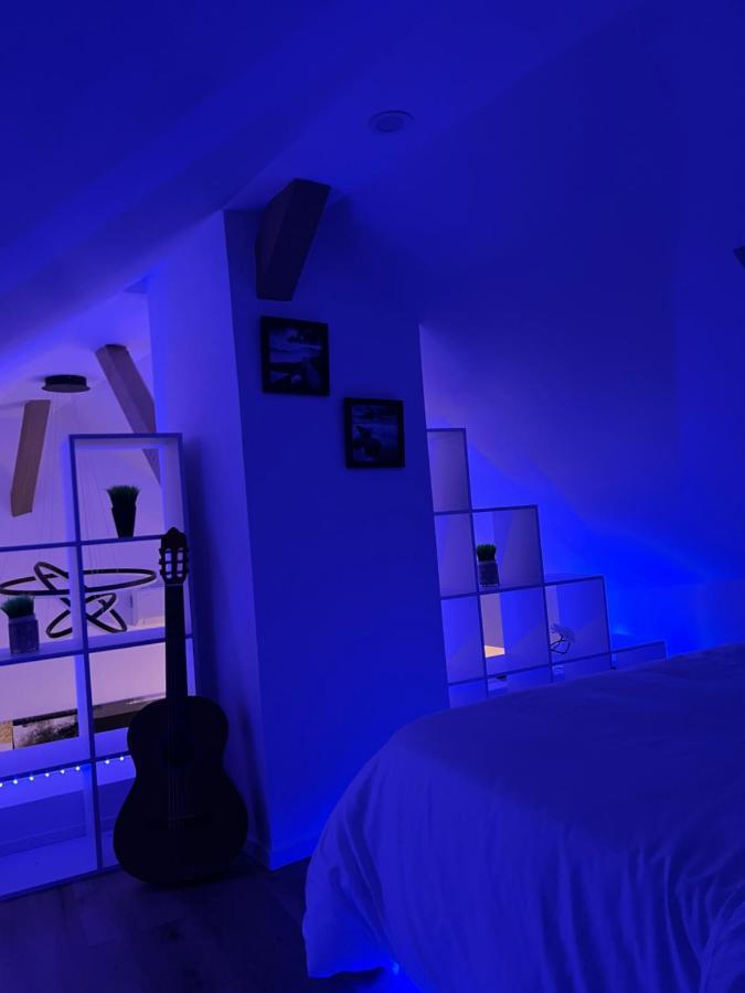 Appartement Loft Ravissant Avec Parking Gratuit Colmar