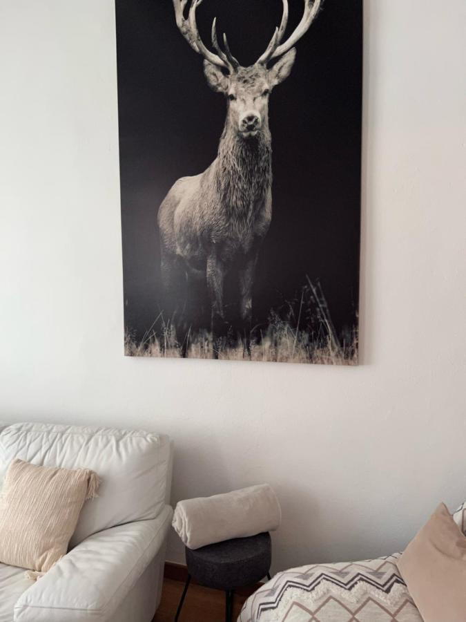 Appartement Bi Uns Chez Silvana Colmar