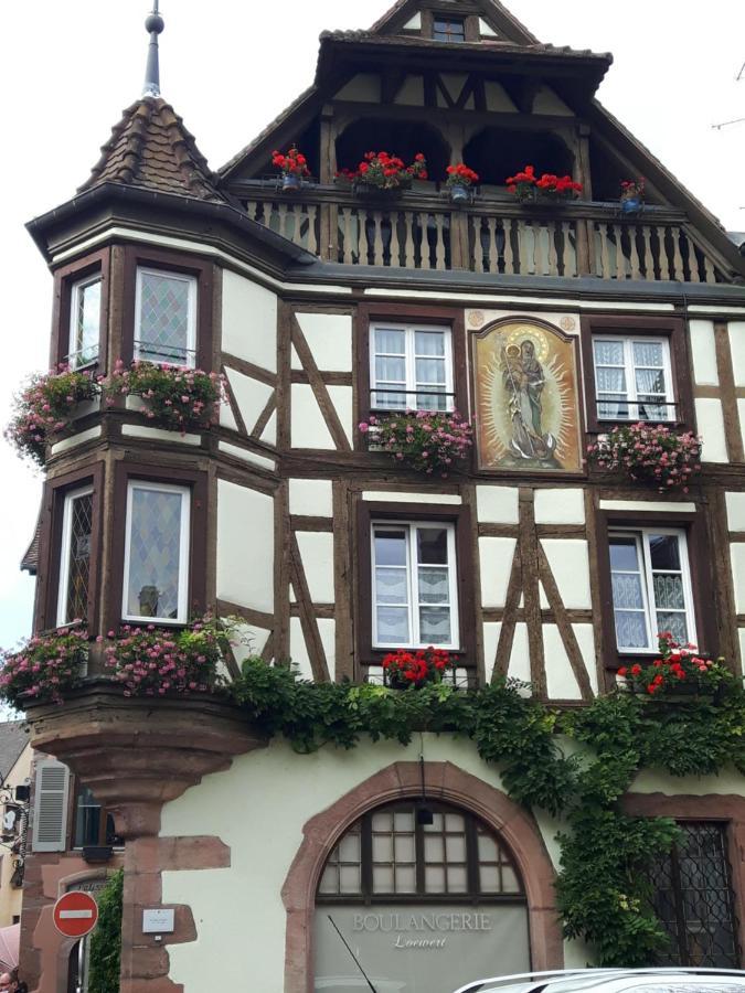 L'ourson * Colmar