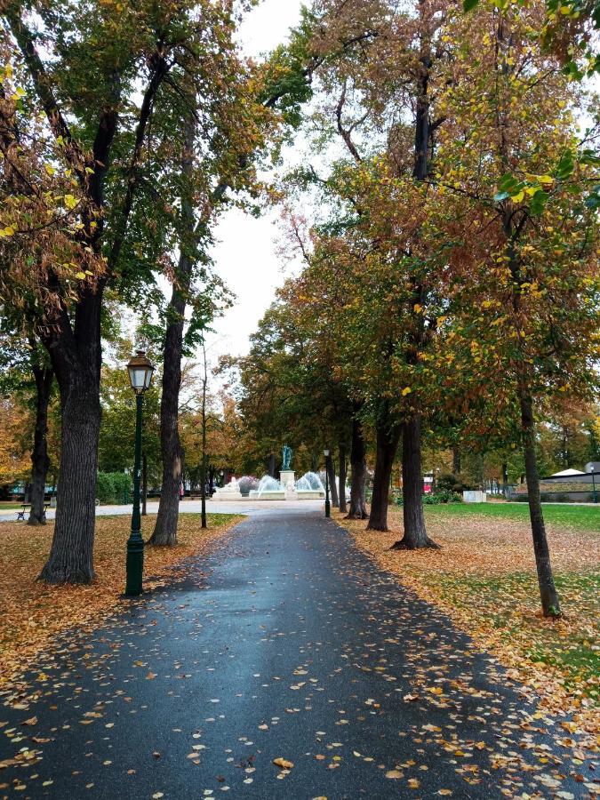 Rare à - Champ De Mars Vue Sur Le Parc - 70m2 * Colmar