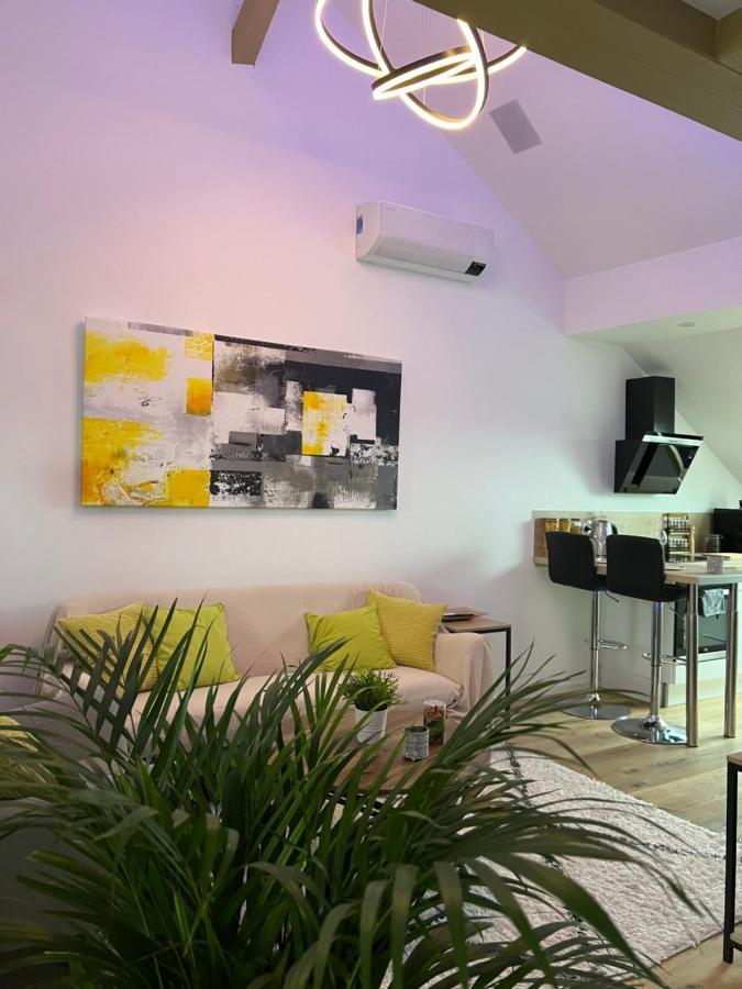 Appartement Loft Ravissant Avec Parking Gratuit *