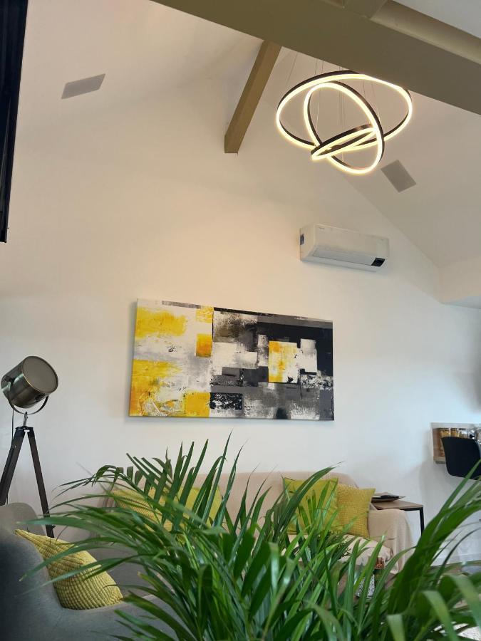 Loft Ravissant Avec Parking Gratuit Appartement Colmar
