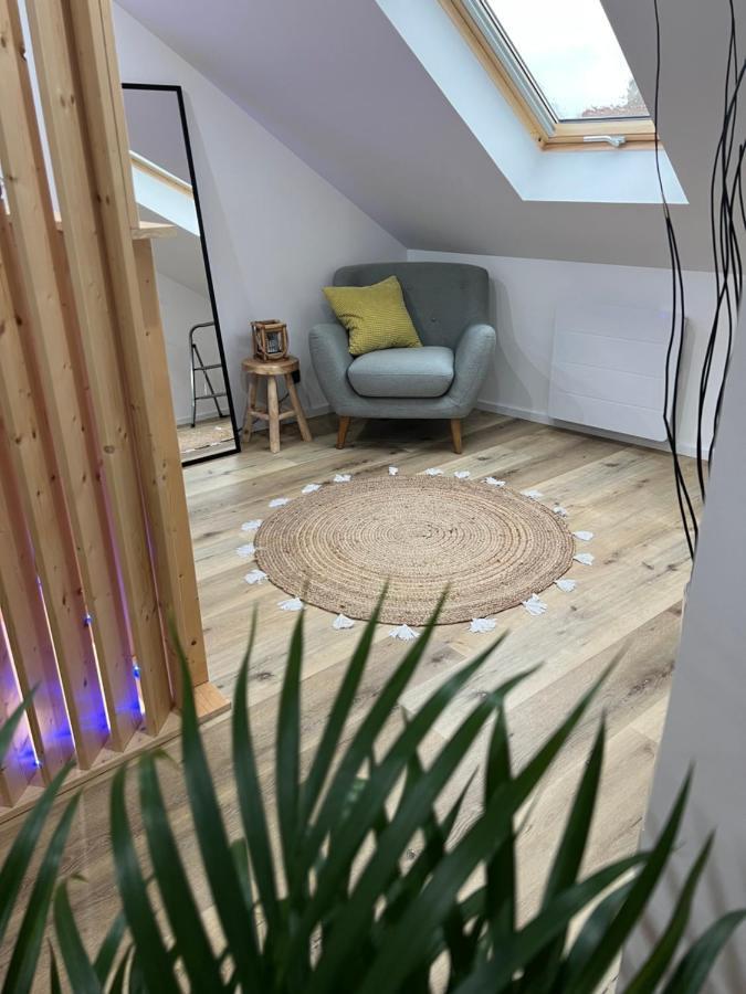 Appartement Loft Ravissant Avec Parking Gratuit Colmar
