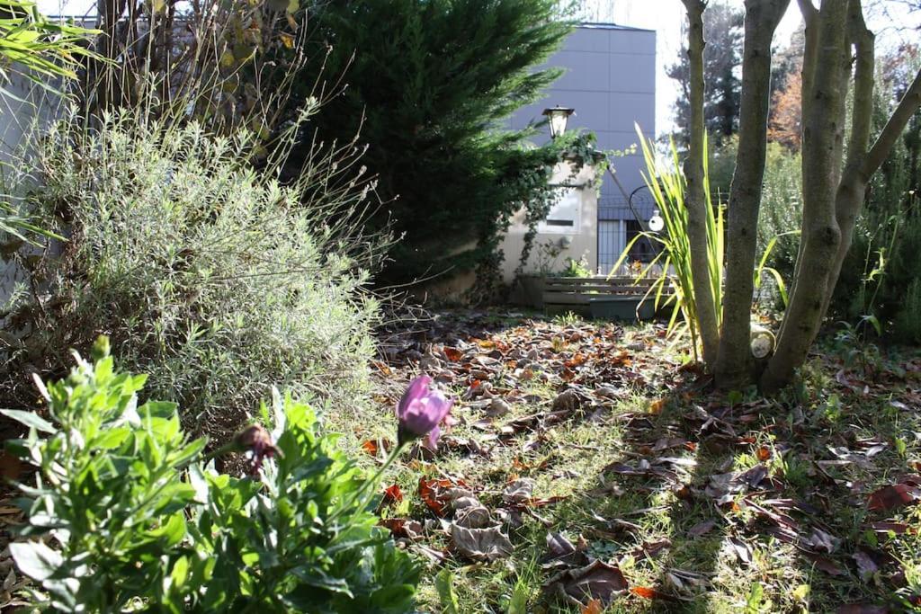 Superb Apt- Garden- 3 Parkings, Near Petite Venise ! Appartement Colmar