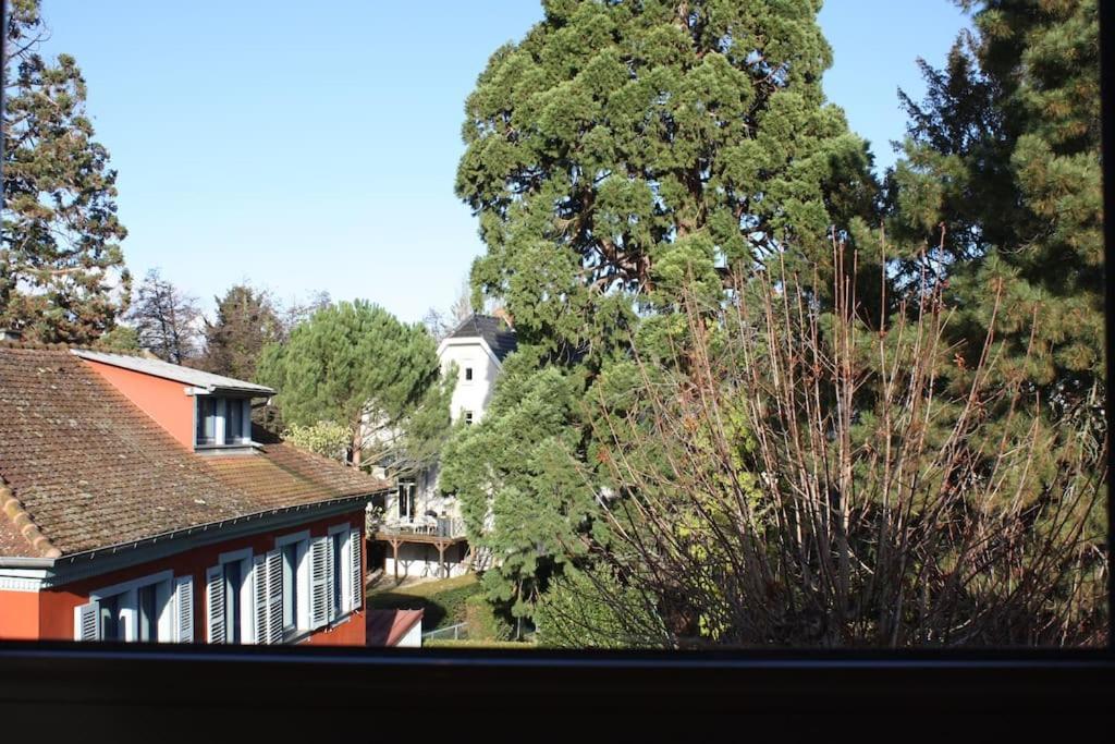Superb Apt- Garden- 3 Parkings, Near Petite Venise ! Appartement Colmar