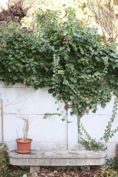 Superb Apt- Garden- 3 Parkings, Near Petite Venise ! *