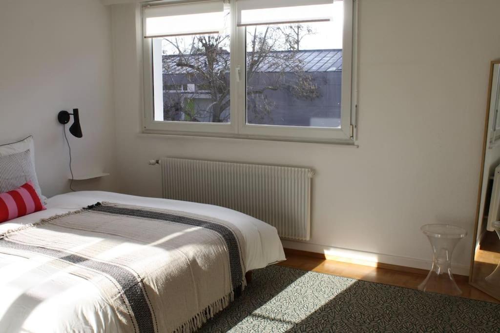 Superb Apt- Garden- 3 Parkings, Near Petite Venise ! Colmar