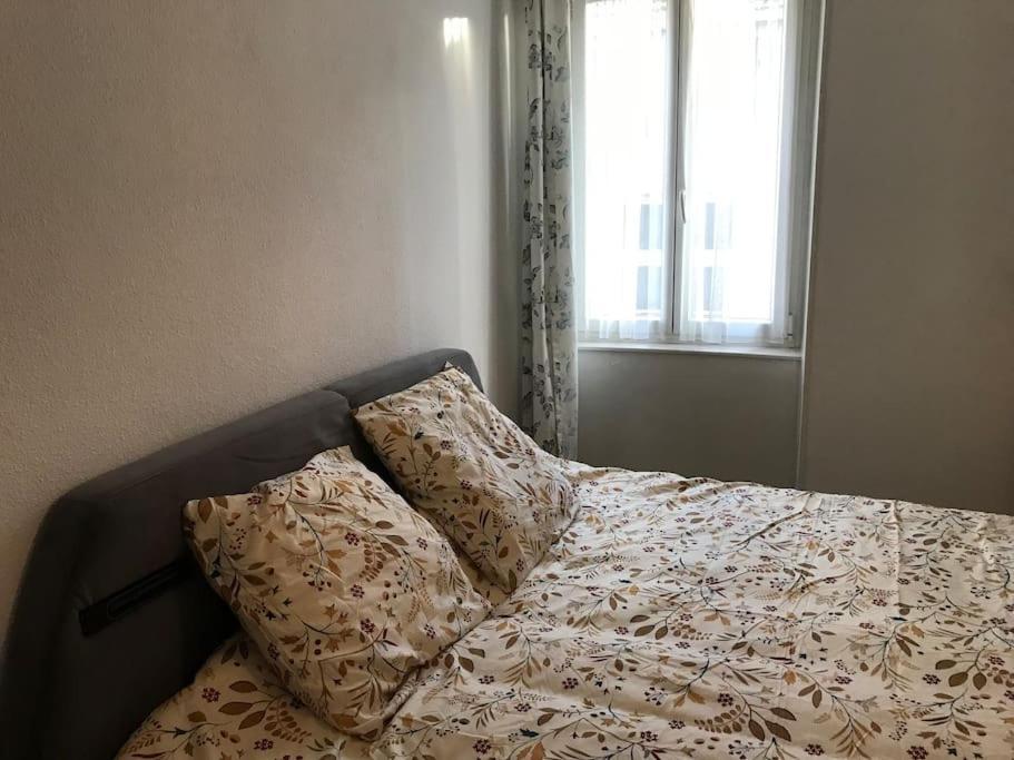 Hébergement de vacances Maison De Ville 70 M2, Proche Du Centre-ville, Parking Prive Gratuit