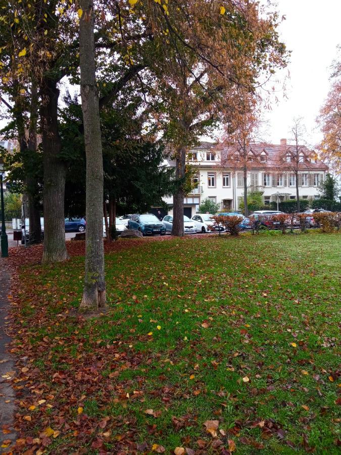 Rare à - Champ De Mars Vue Sur Le Parc - 70m2 * Colmar