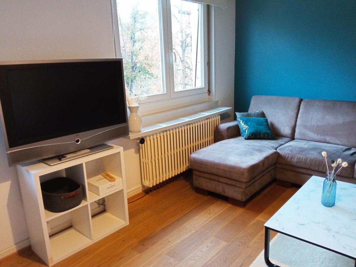 Rare à - Champ De Mars Vue Sur Le Parc - 70m2 Colmar
