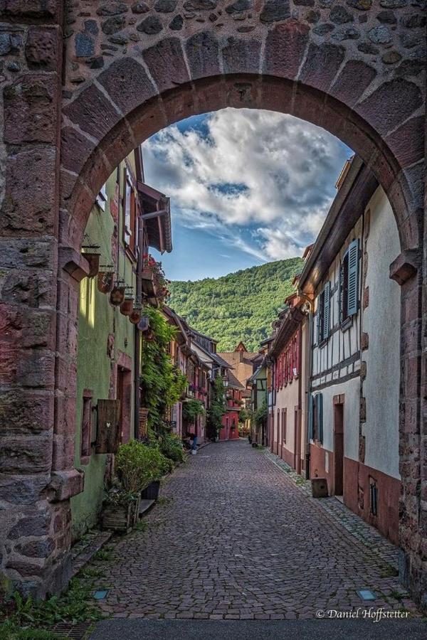 Les Lavandieres Colmar