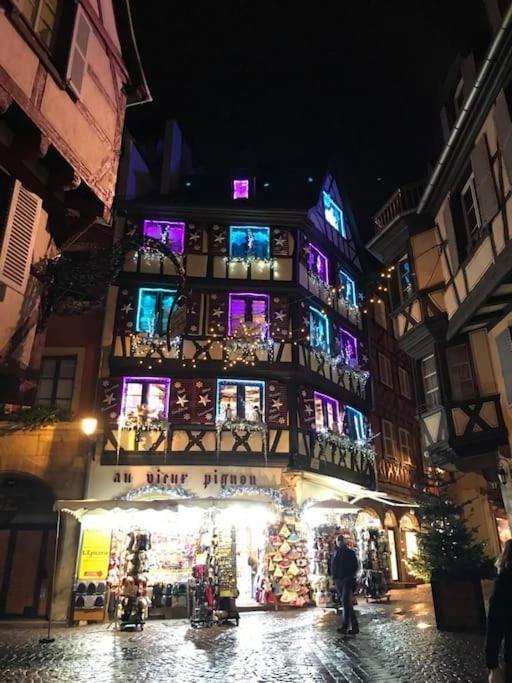 Colmar,appart Chaleureux 2 Pas Centre Avec Jardin Appartement *