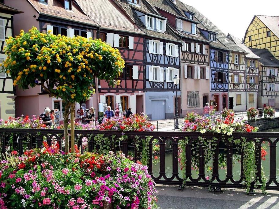 Colmar,appart Chaleureux 2 Pas Centre Avec Jardin Colmar