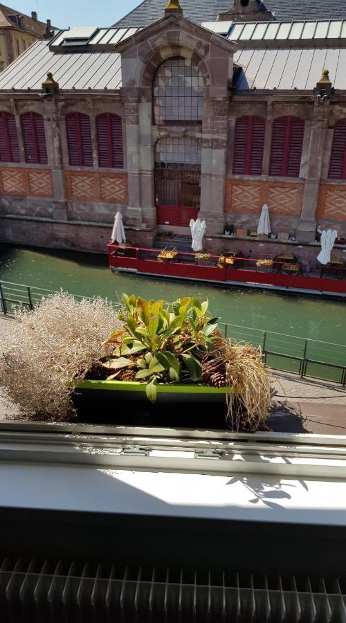New ! Vue Petite Venise-place To Be - Parking Appartement