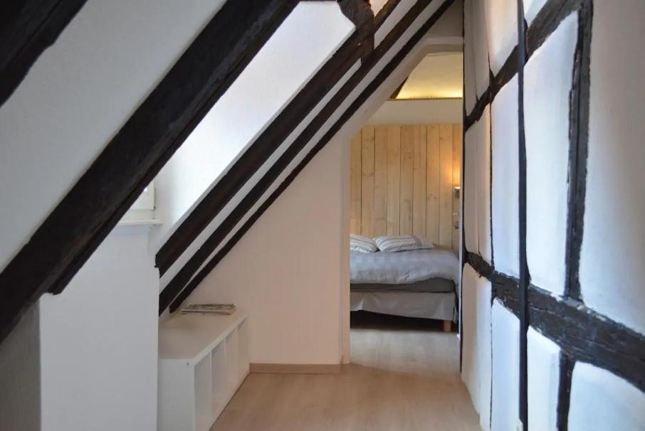 Apartment Bretzel & Raisin - Hypercentre De