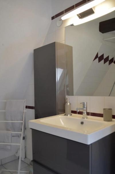 Apartment Bretzel & Raisin - Hypercentre De Colmar