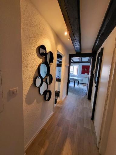 New Loft Centre Vieille Ville, Vue Petite Venise Parking, Balcon 2 Colmar