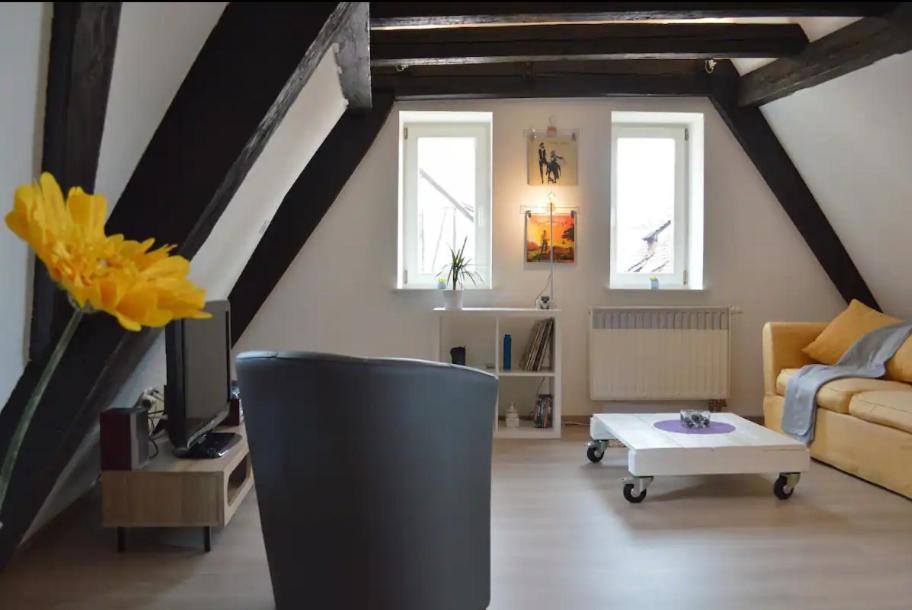Apartment Bretzel & Raisin - Hypercentre De Colmar