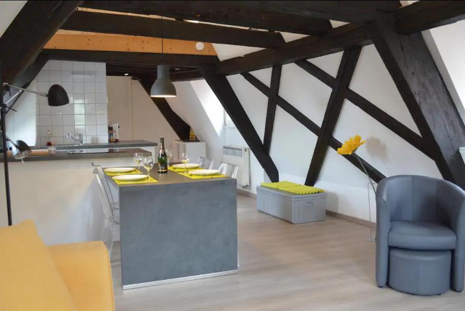 Bretzel & Raisin - Hypercentre De Apartment Colmar