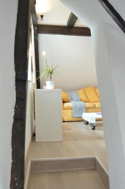Apartment Bretzel & Raisin - Hypercentre De