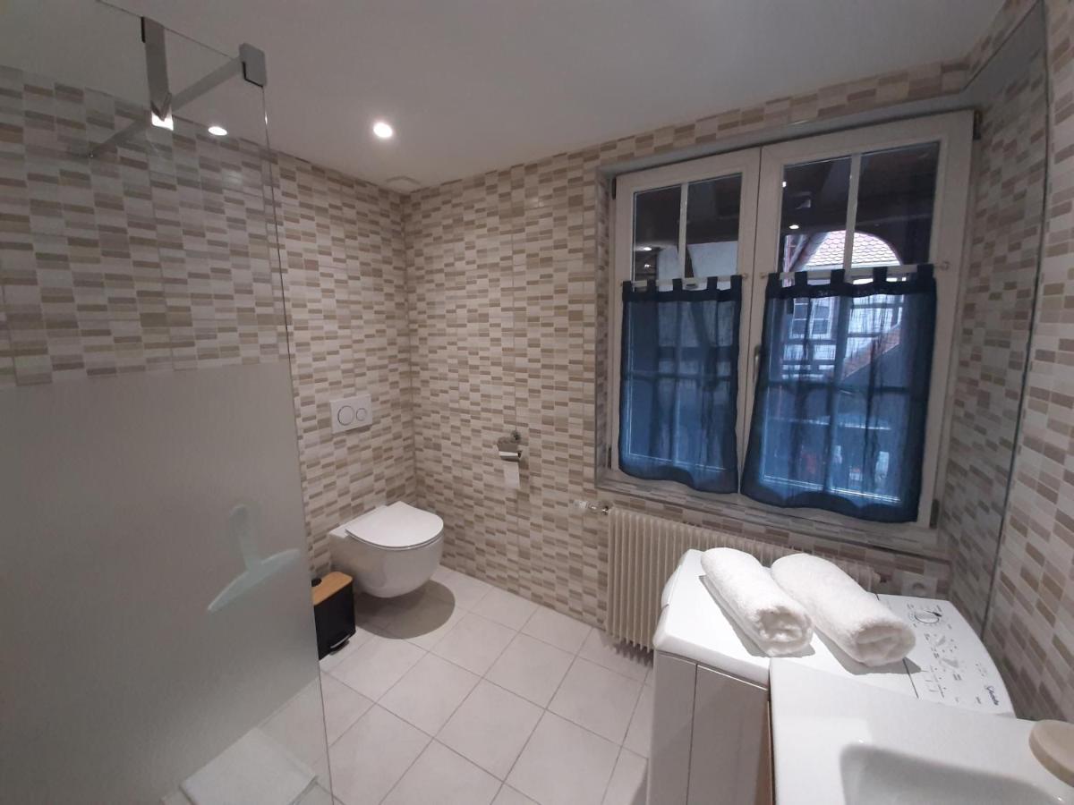 Dock 23 Appartement Colmar