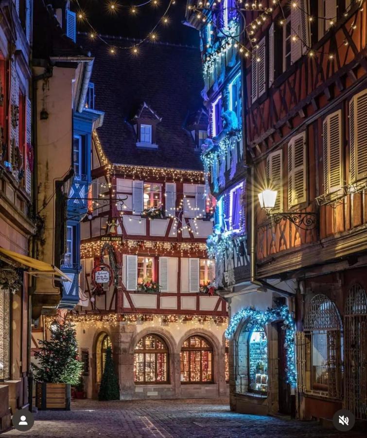 Appartement Les Lavandieres Colmar