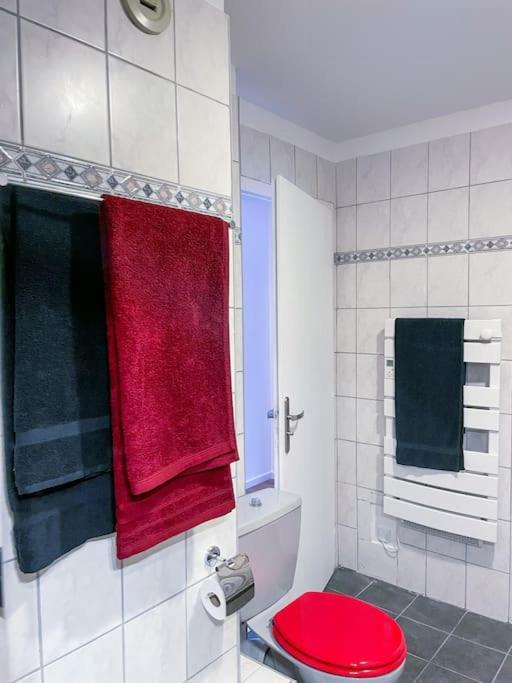 Appartement Lumineux Avec Vue Sur Les Vosges *