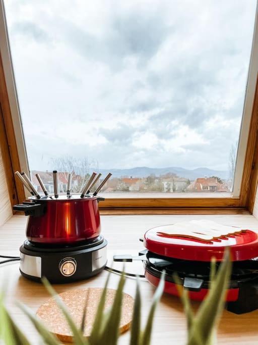 Appartement Lumineux Avec Vue Sur Les Vosges *