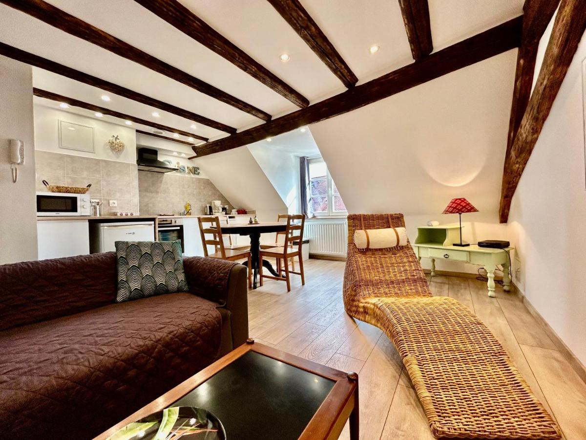 Appartamento L'ours De - En Centre Colmar
