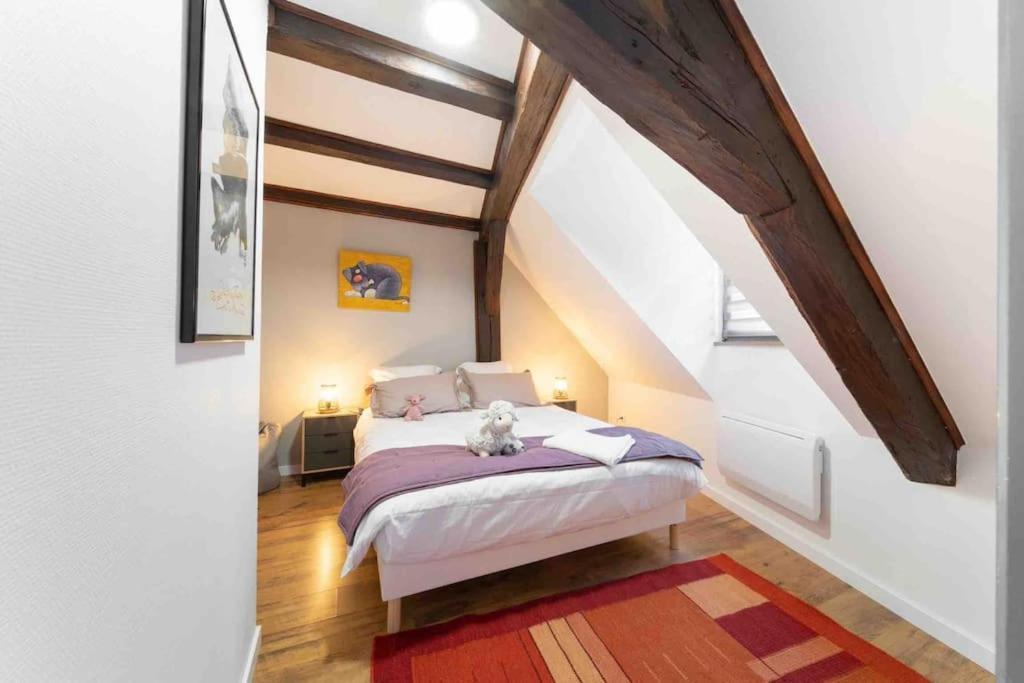 Les Lionceaux, 120m2 A Colmar, Place De Parking Gratuite Apartment *