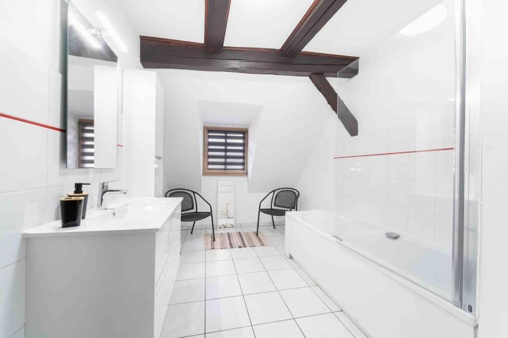 Apartment Les Lionceaux, 120m2 A Colmar, Place De Parking Gratuite Colmar