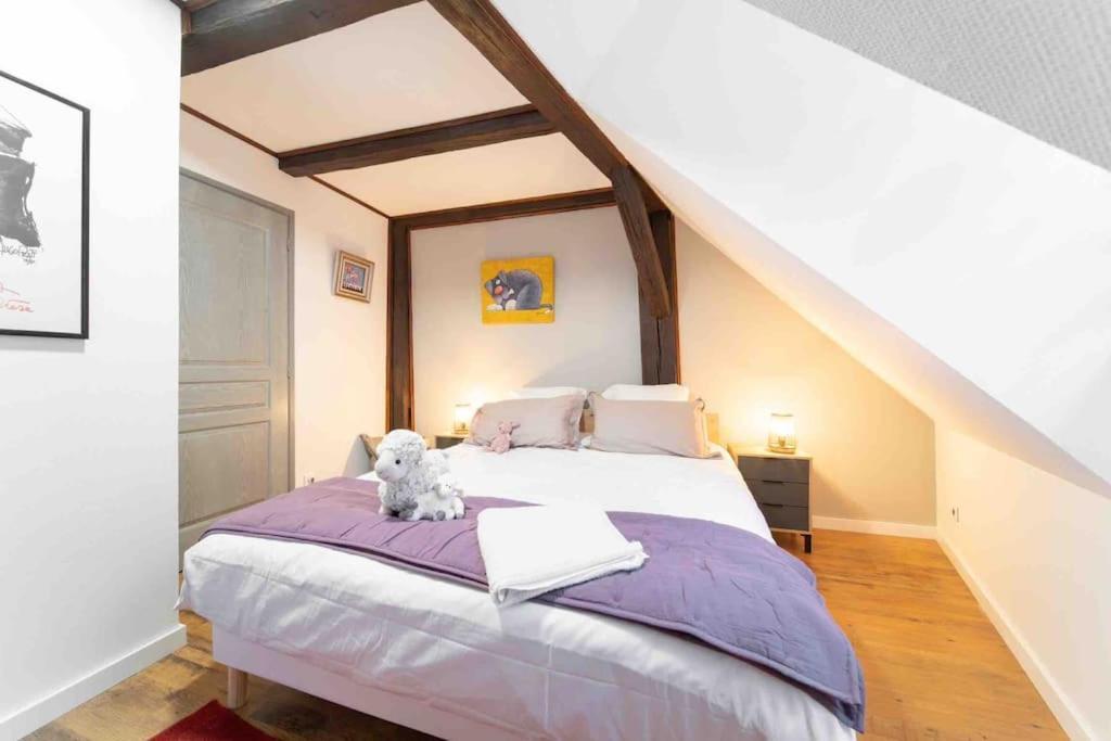 Les Lionceaux, 120m2 A Colmar, Place De Parking Gratuite Appartement Colmar