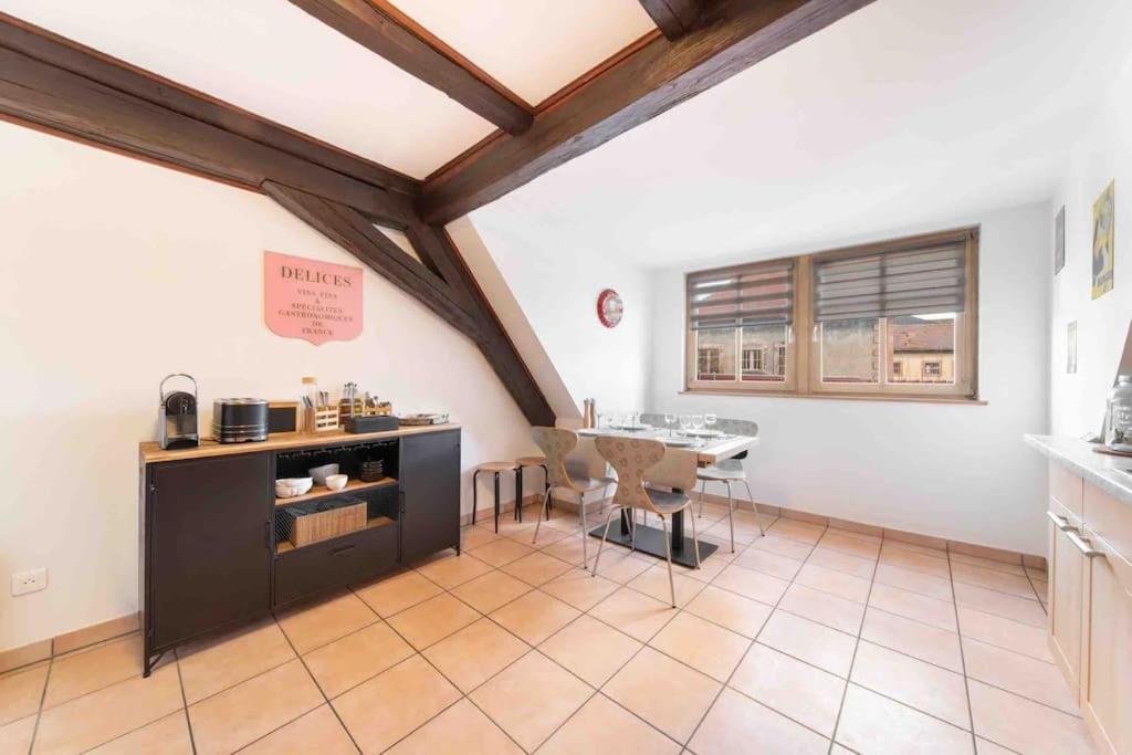 Les Lionceaux, 120m2 A Colmar, Place De Parking Gratuite Apartment