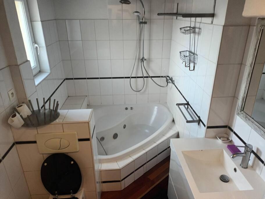 Apartment Le Schauenberg Colmar
