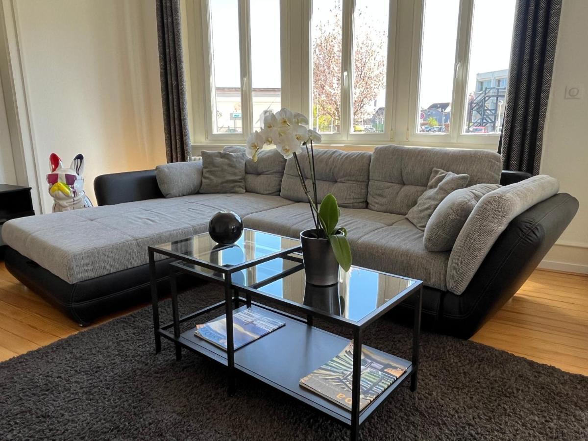 Apartment De Prestige Au Centre Climatise Avec Jardin Prive Colmar