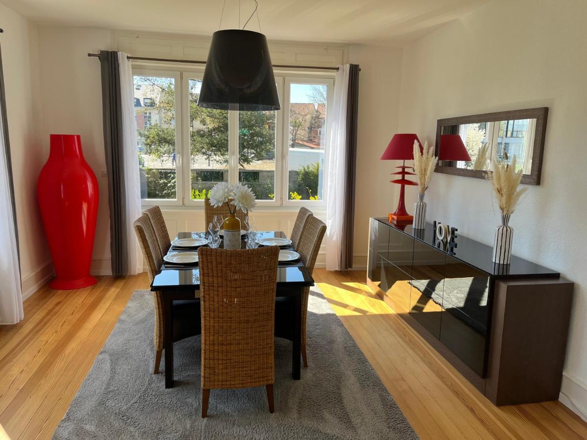 Apartment De Prestige Au Centre Climatise Avec Jardin Prive Colmar